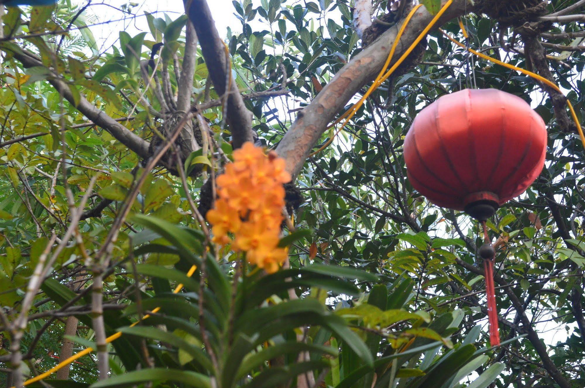 The Hoi An Orchid Garden Villas Eksteriør bilde